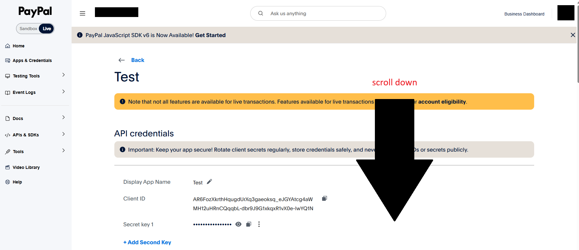 PayPal5